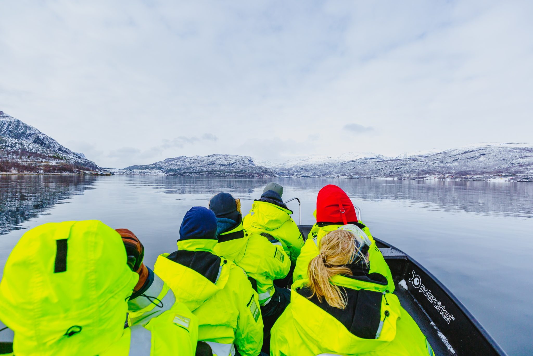 Fjord safari med RIB.  Foto: Mads Suhr Pettersen