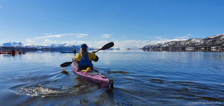  Foto: Hege Enge Dekkerhus / Norwegian Wild