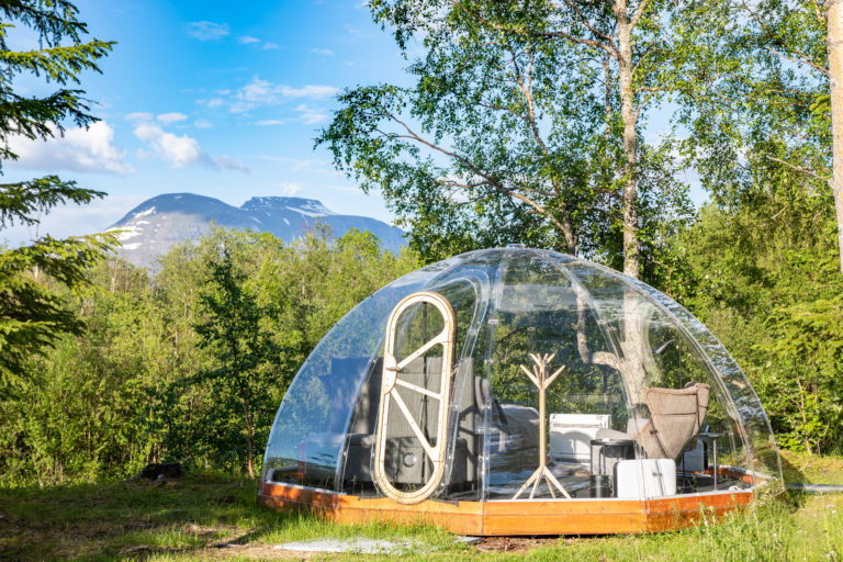 Foto: Tromsø Safari