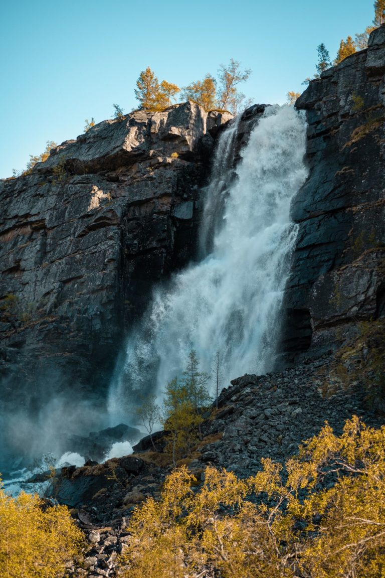 Foto: Tromsø Safari