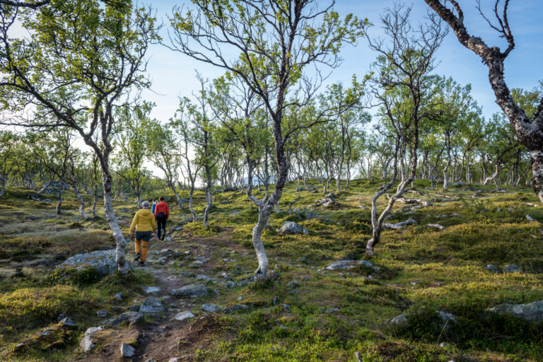 Foto: Dag Roland