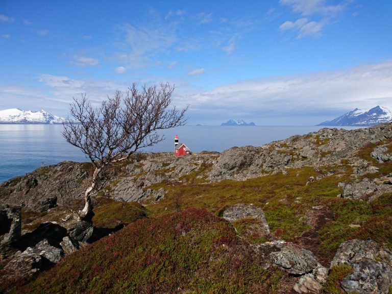 Lyngstuva. Foto: Åse Hansen