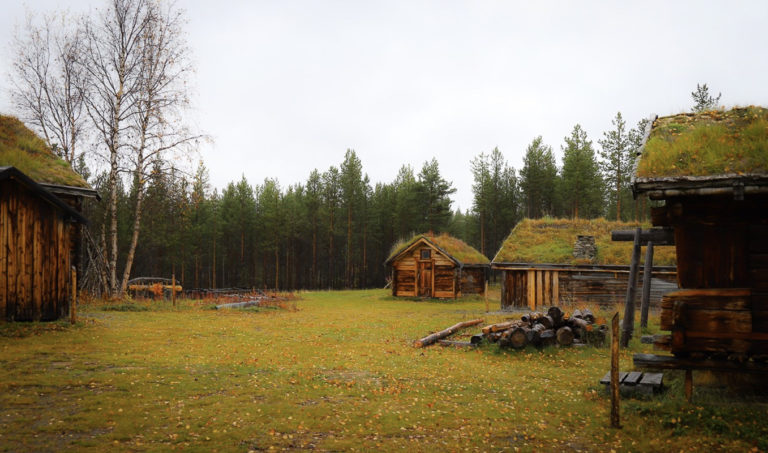 Autumn mood © RDM-SVD