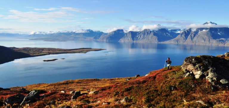 Lyngenfjord. Foto: Georg Sichelschmidt