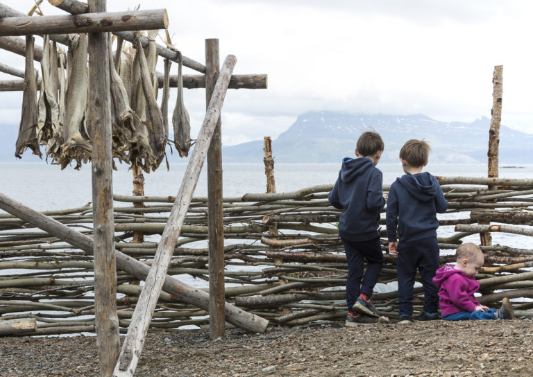 Foto: Harriet M. Olsen / Sør-Troms Museum