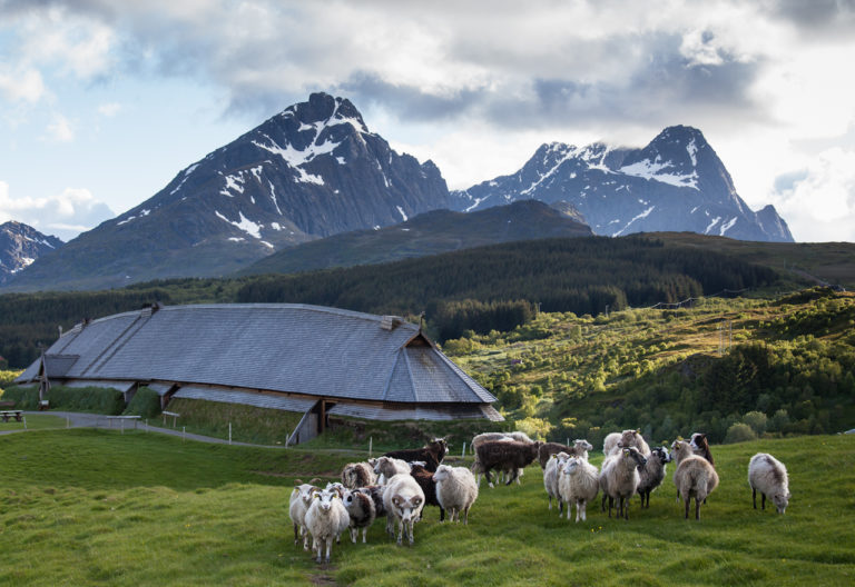Lofotr Vikingmuseum. Foto: Kjell Ove Storvik