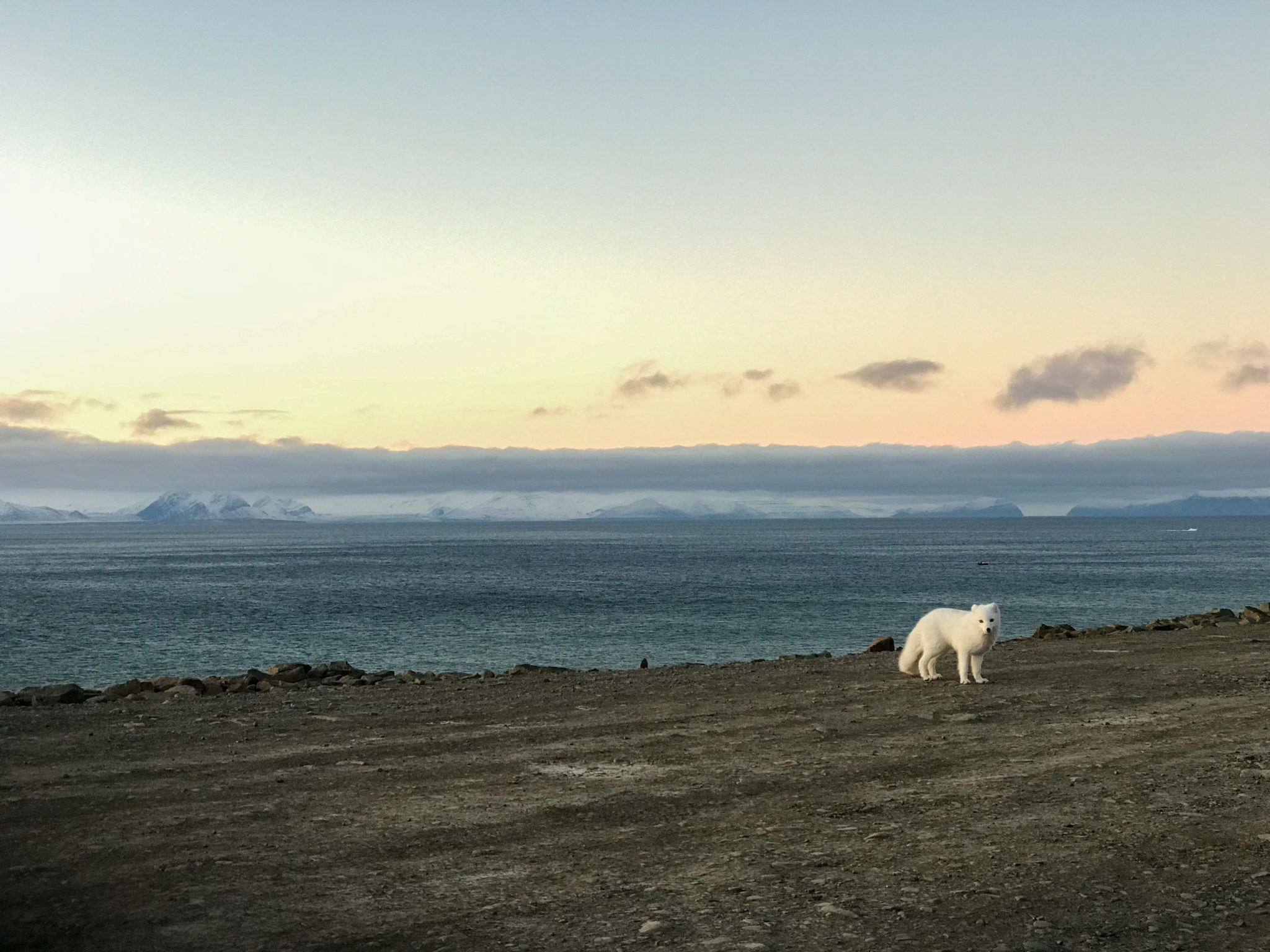 Foto: Anja Nordvålen