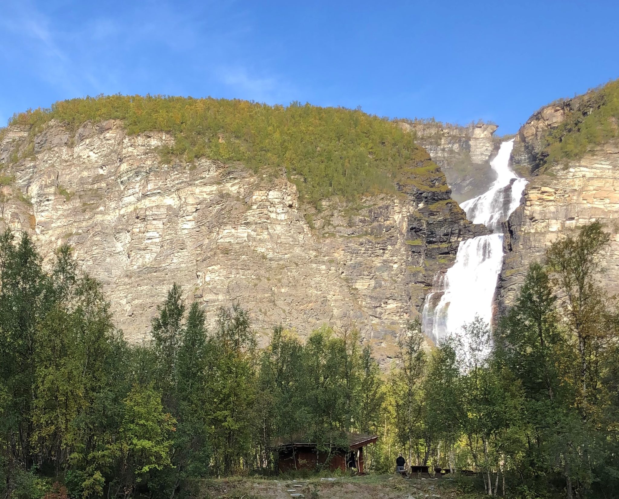 Foto: Tromsø Safari