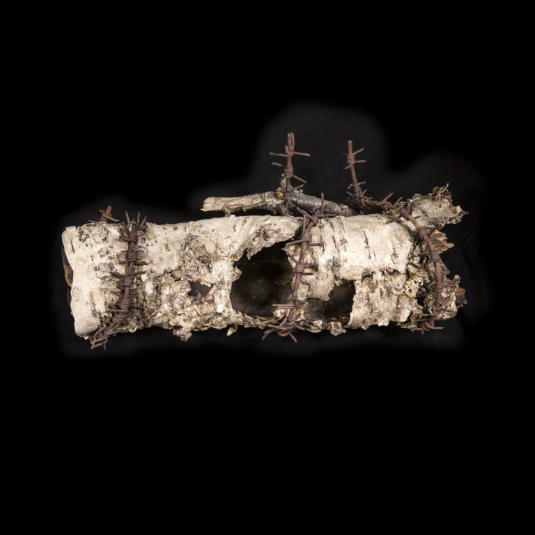 Barbed wire from the death camp at Beisfjord © Narvik Krigsmuseum