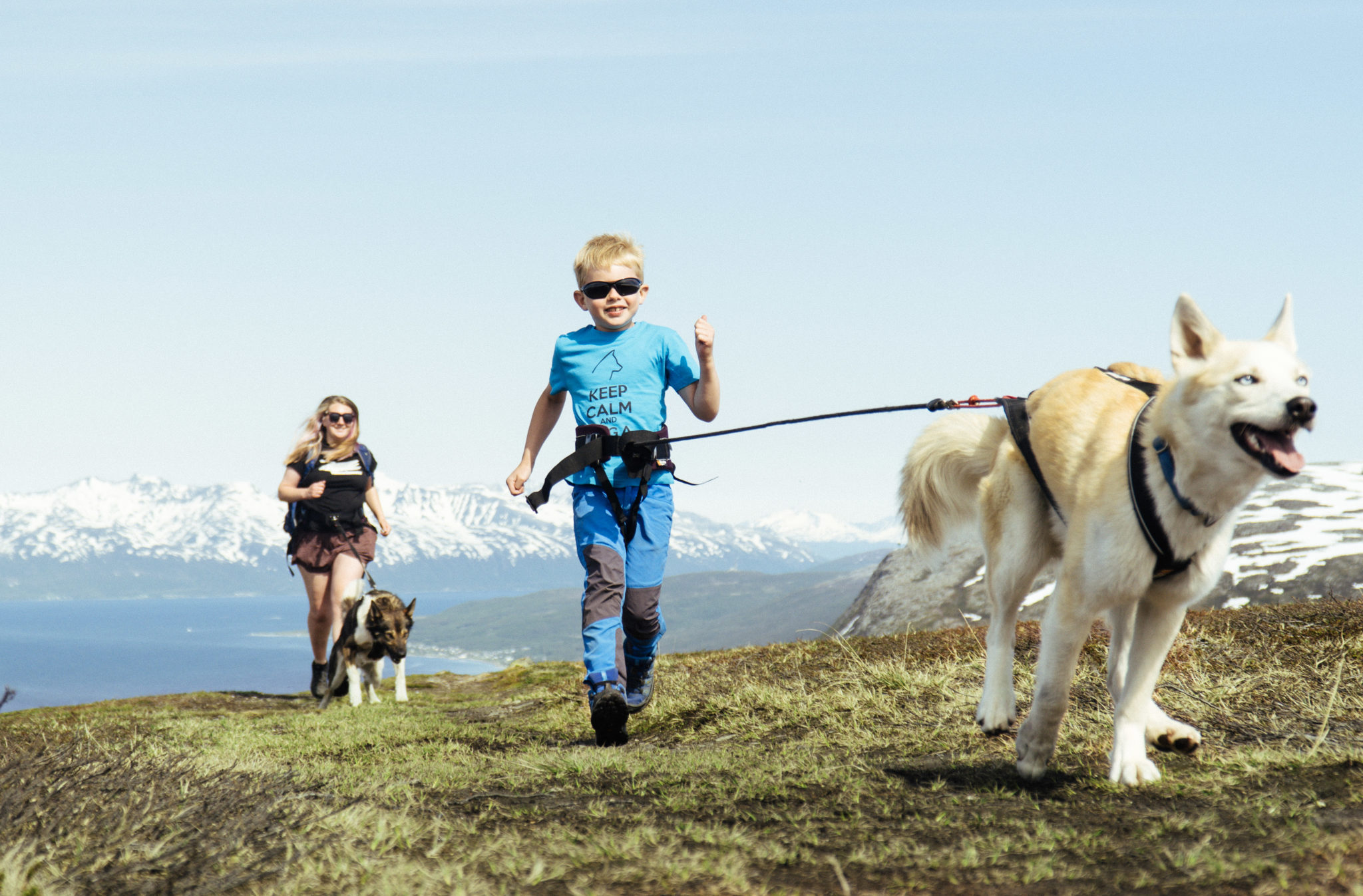 Vandretur med husky. Foto: Vegard Stien