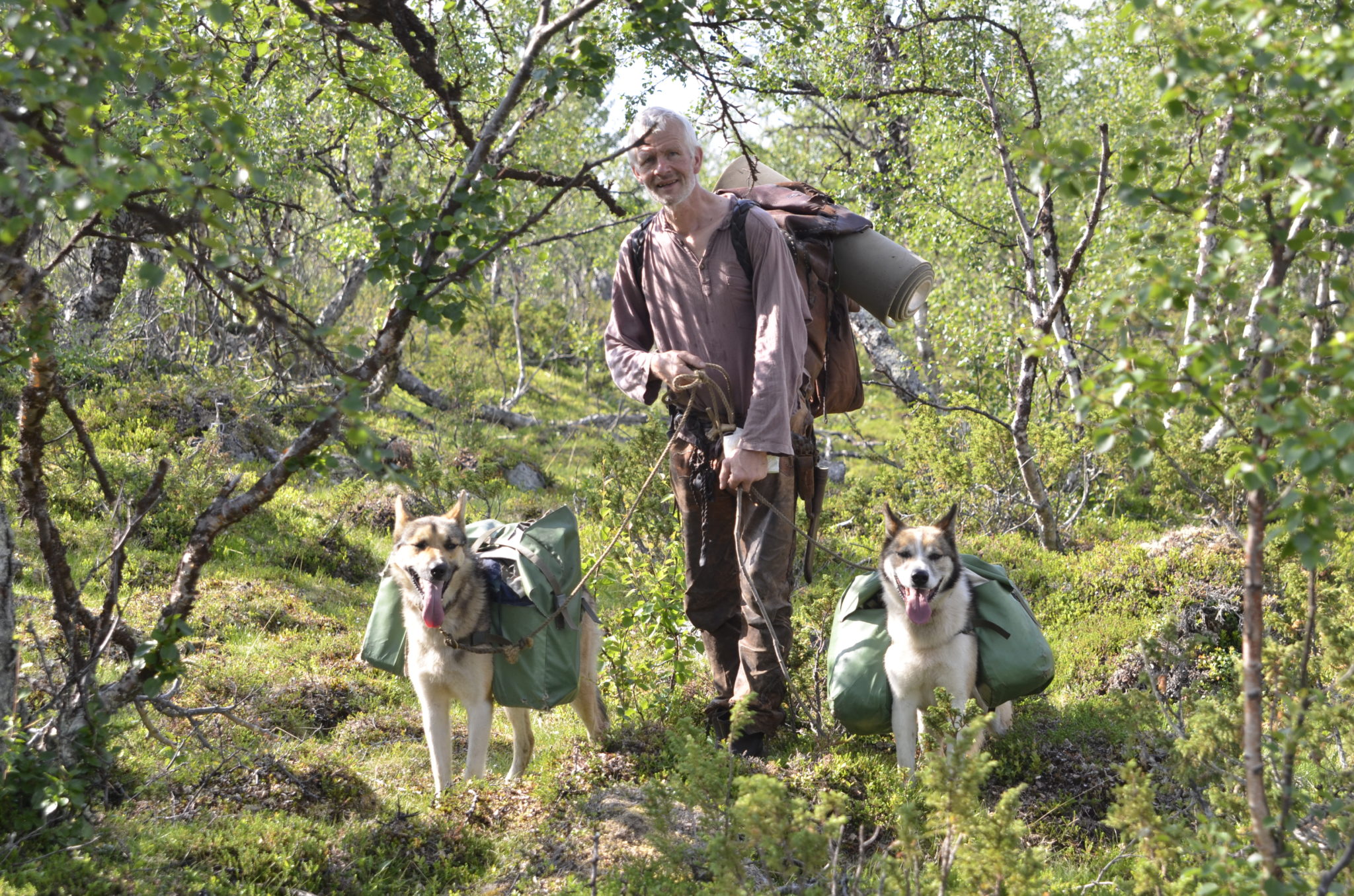 En annerledes familieflokk. Foto: Engholm Husky