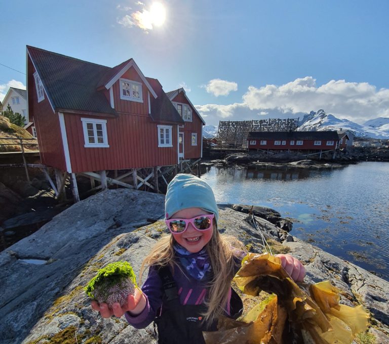 Great discoveries along the shoreline behind the rorbu cabins. Photo: Vegeir Selboe / visitlofoten.com
