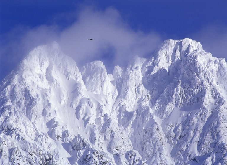 Vinter i Lyngsalpene © Bård Løken