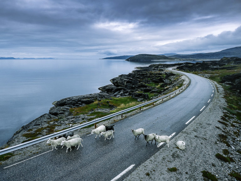 Ok to drive with care © Katelin Pell