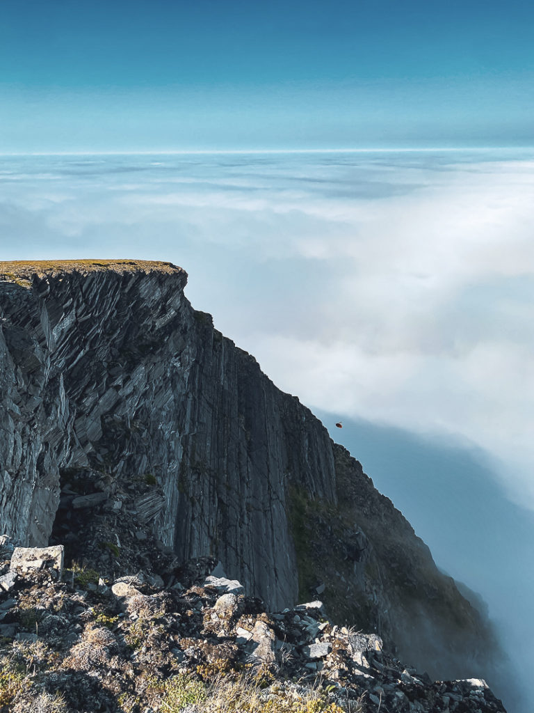 View from the top towards the ocean. This time around, the fog was dense © Katelin Pell