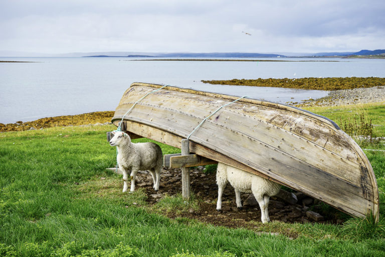 Sauer og trebåter inngår i sammenhengende bruk av stedet i 10 000 år © Katelin Pell