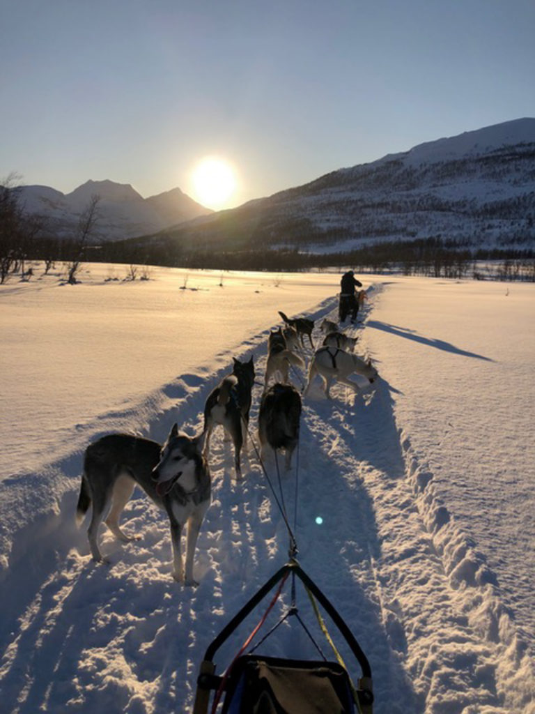 Hundekjøring i djupsnøen på Senja © © Arctic Guide & Visit