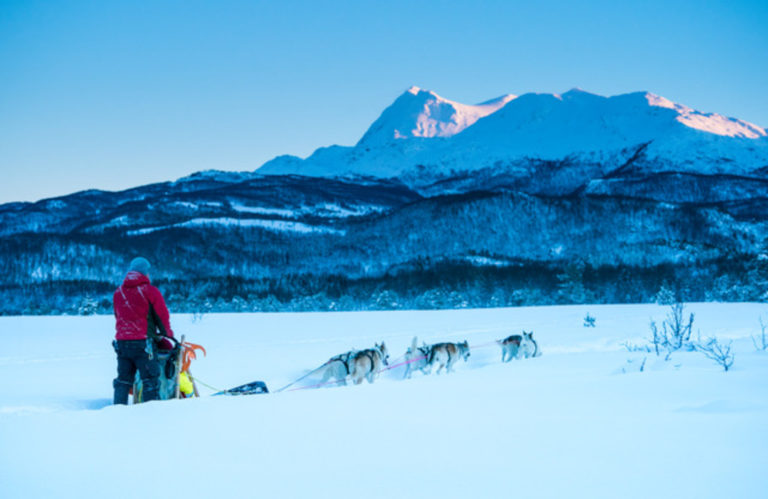 Over skog og hei i Midt-Troms © Arctic Guide & Visit
