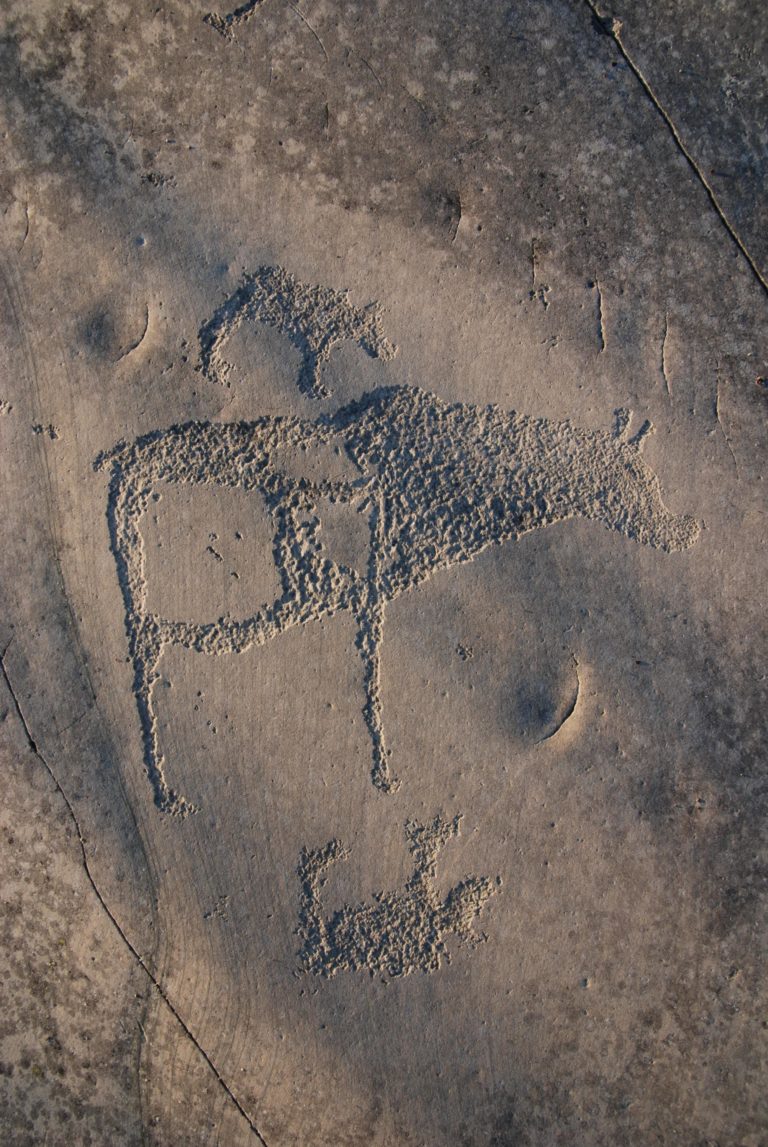 Bjørnemor med bjørnunger © Alta Museum