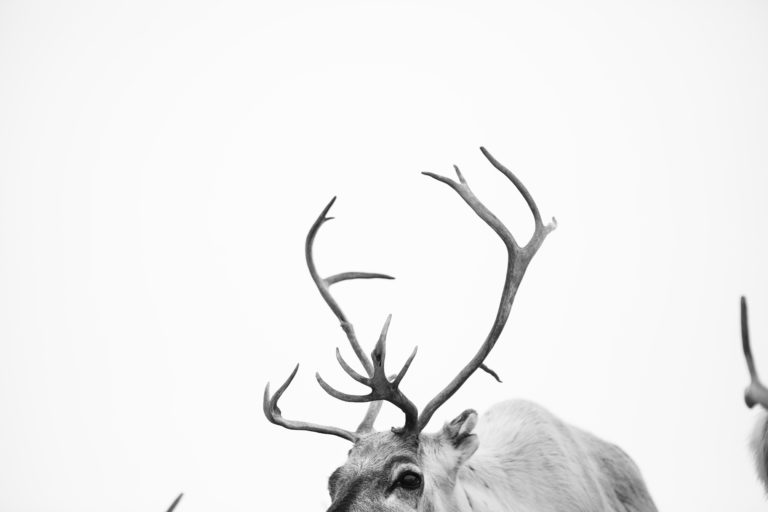 © Marie Louise Somby