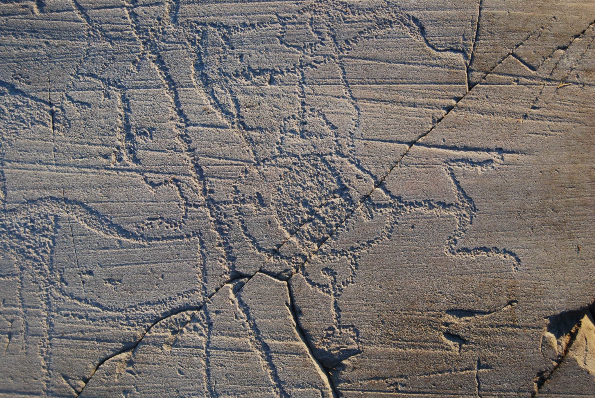 Mennesker som sitter rundt en sirkel © Alta Museum