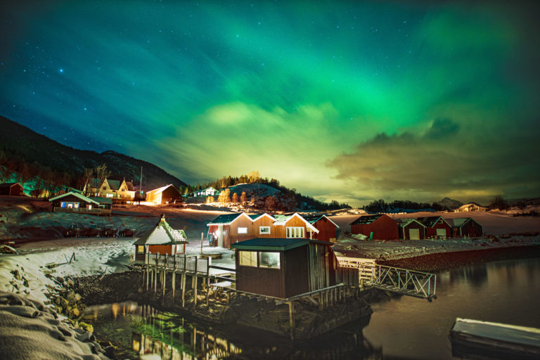 Nordlyset på Dyrøy Holiday © Dyrøy Holiday