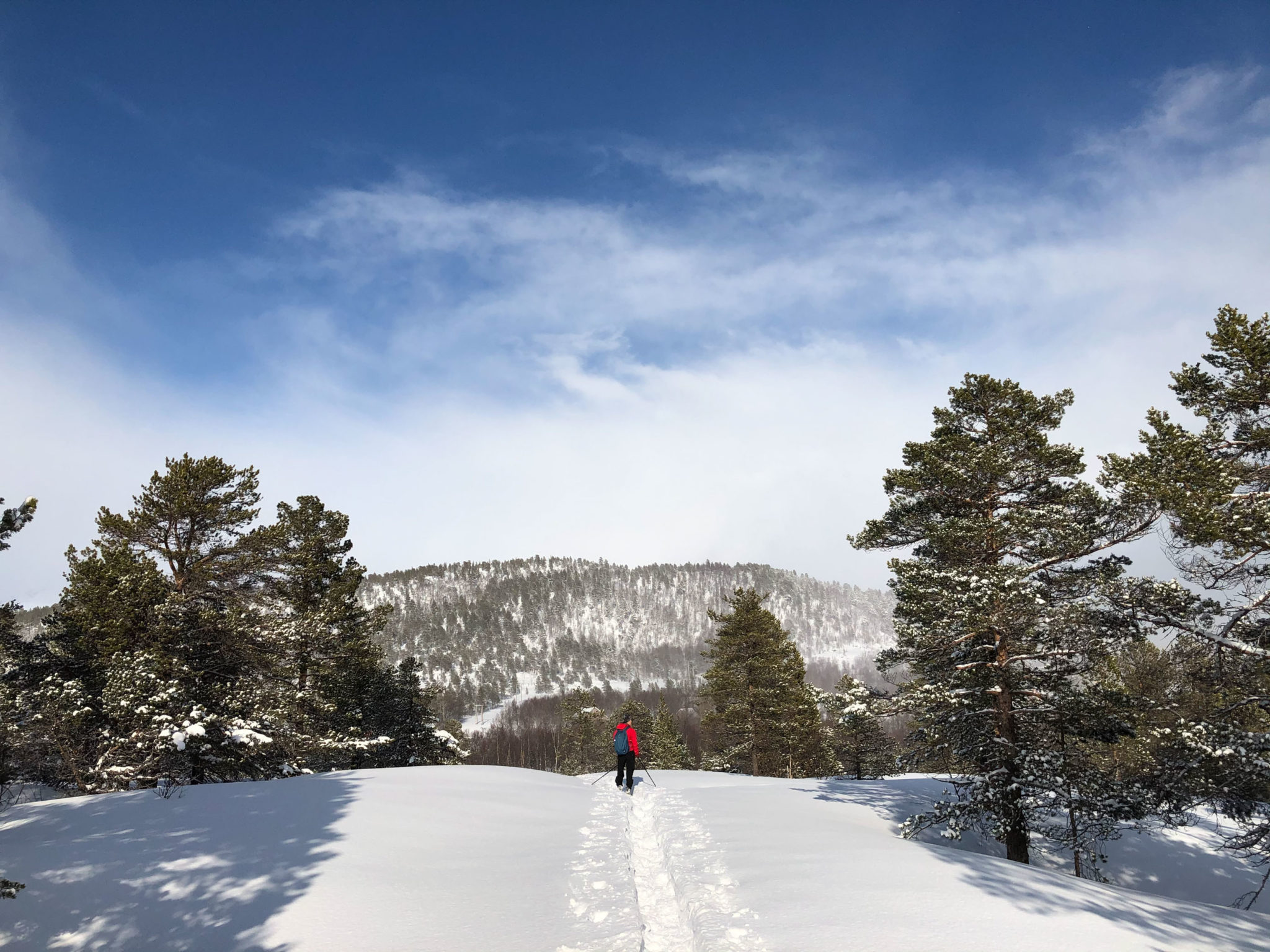 På truger i Ånderdalen Nasjonalpark © VSR