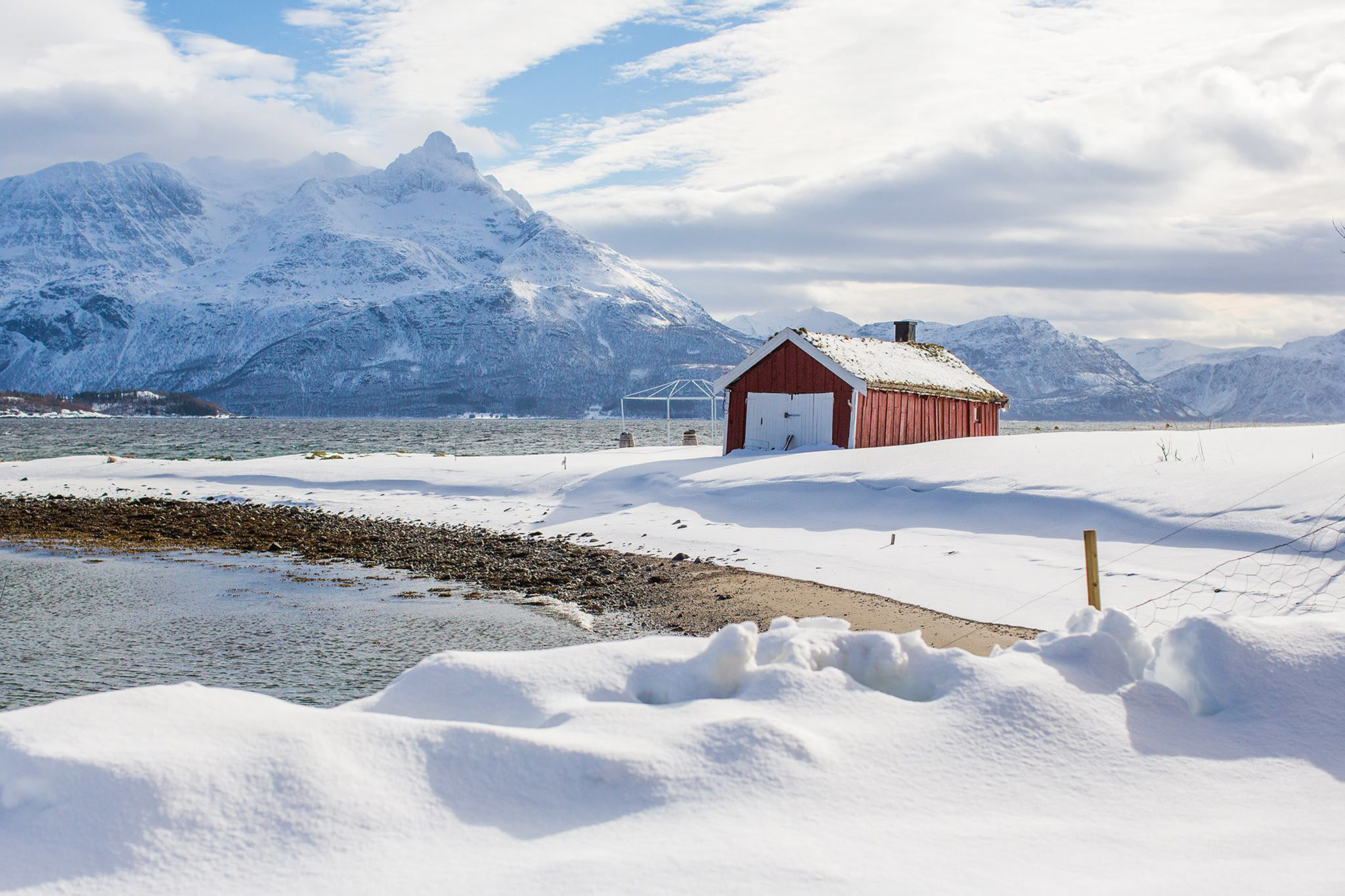 På Dyrøya © Stig Stokkland