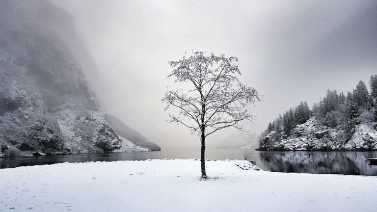 Wintery vibes in Gudvangen © Fjord Norway