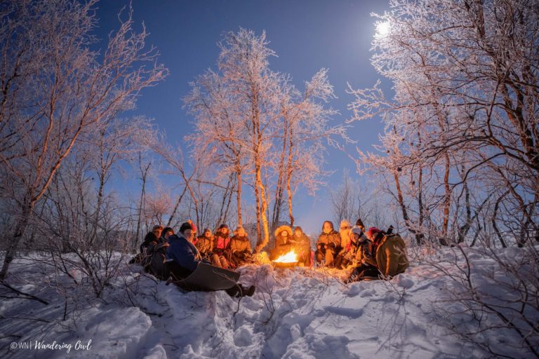 Holde varmen mens vi venter © Wojciech Nowick/Wandering Owl 