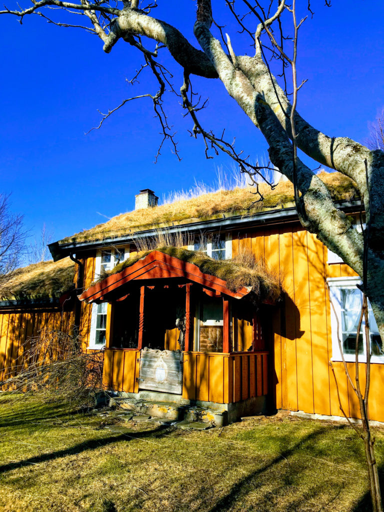 Spring in the air in Vega in early april © Knut Hansvold