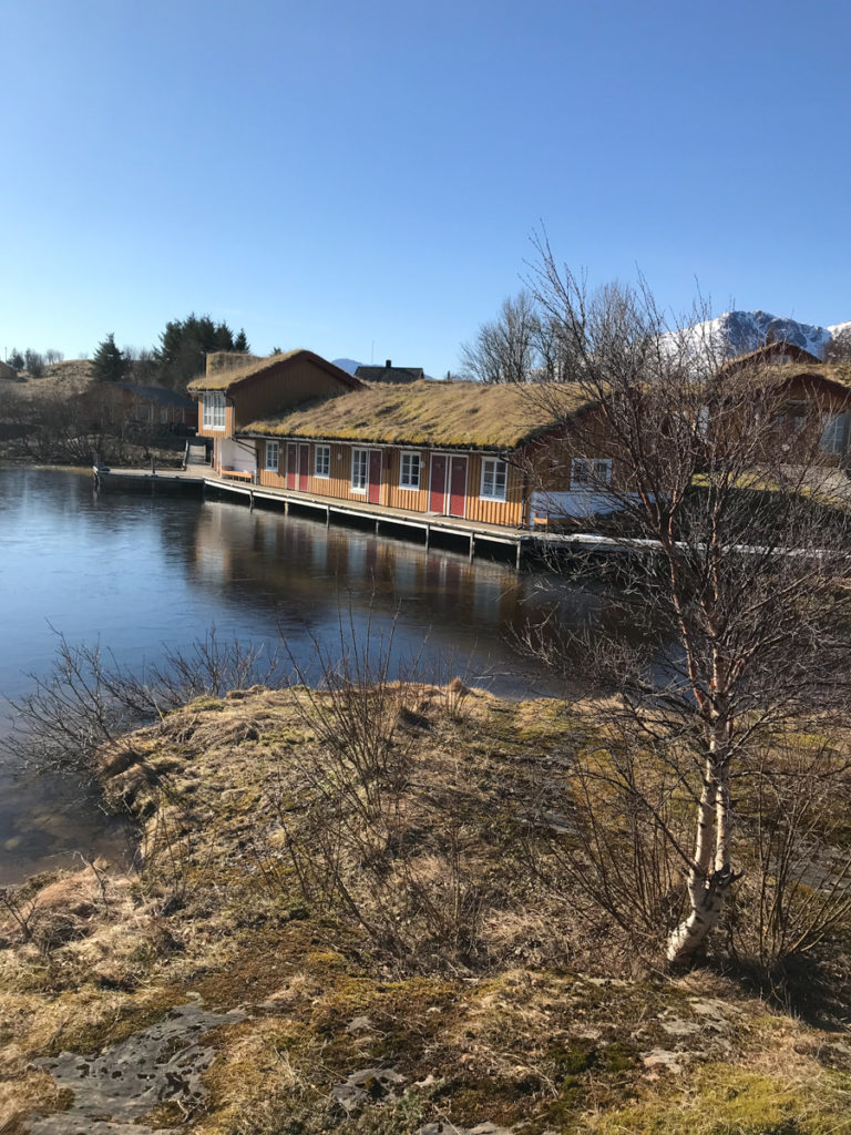 April mood in Vega © Knut Hansvold