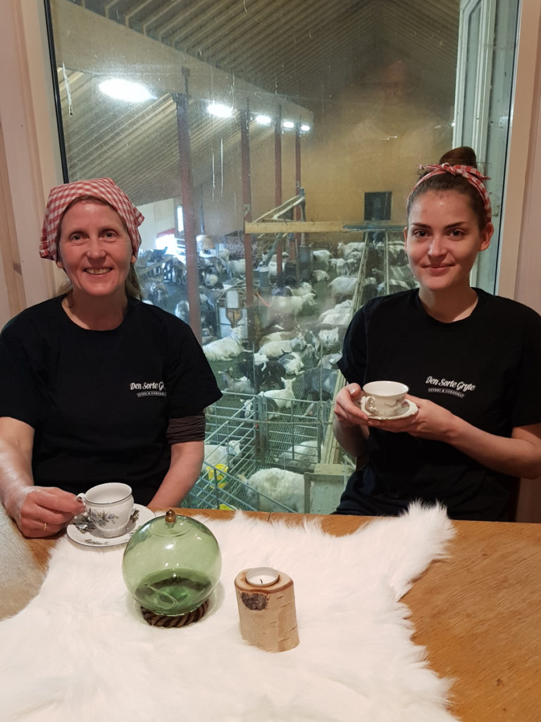 Take your coffee at Den sorte gryte, and get eye to eye with the goats © Den sorte gryte
