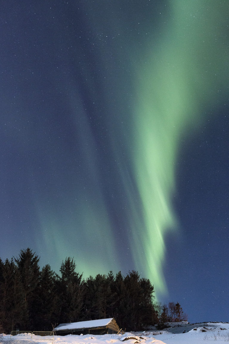 Nordlys over Trondenes middelaldergård © Harriet M. Olsen/Sør-Troms Museum