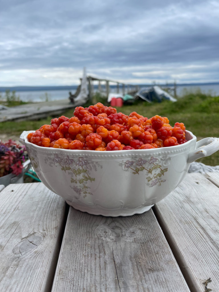 Abundance © Tamsøya