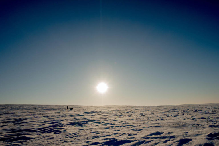 Hundevidda på Finnmarksvidda. Foto: Mats Hoel / nordnorge.dev09.dekodes.no