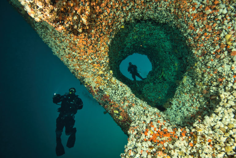 Saltstraumen's seabed is covered by calcarian algae and improbable rock formation waiting for the divers © Vebjørn Karlsen