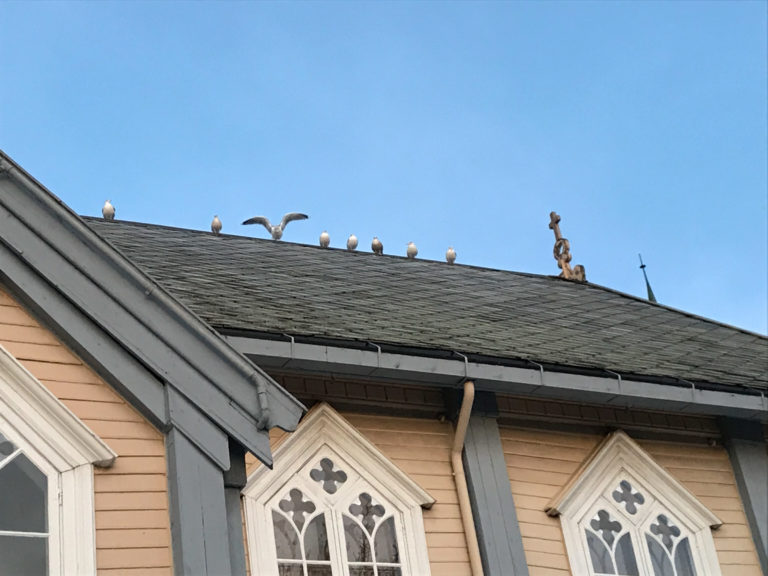 February, and seagulls gathering at the church roof waiting for spring © Knut Hansvold