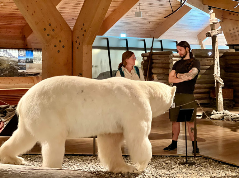Bamsen på nært hold © Hege Anita Eilertsen/Svalbard museum