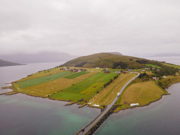 Ser du linja mellom skogen og de frodige åkrene på Kvæøya? Så langt opp gikk havet etter istida © Lars Åke Andersen
