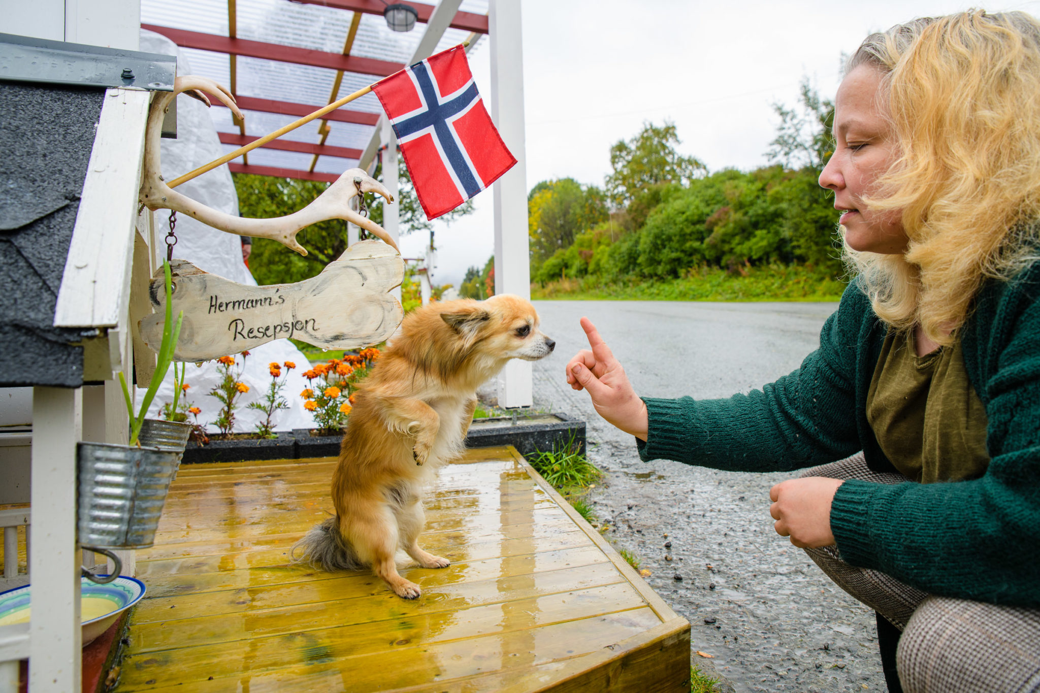 Velkommen til Refsnes © Lars Åke Andersen