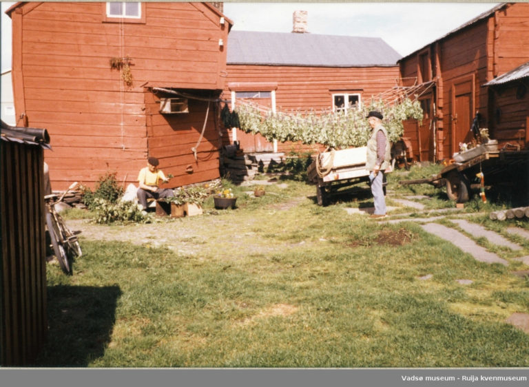 Drying of twigs in the old Tuomainen house in Vadsø © Vadsø museum - Ruija kvenmuseum