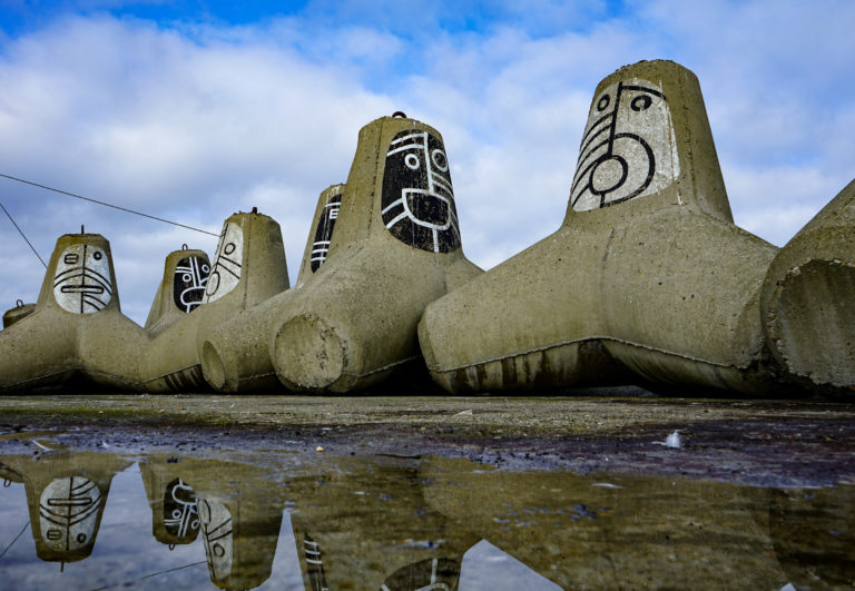 Tetrapod reflections © Katelin Pell