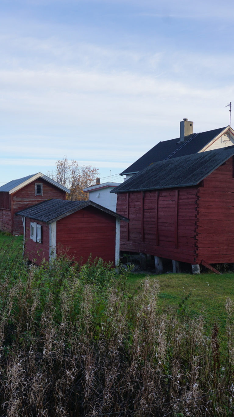 Avblomstret sjarm i Bugøynes © Knut Hansvold