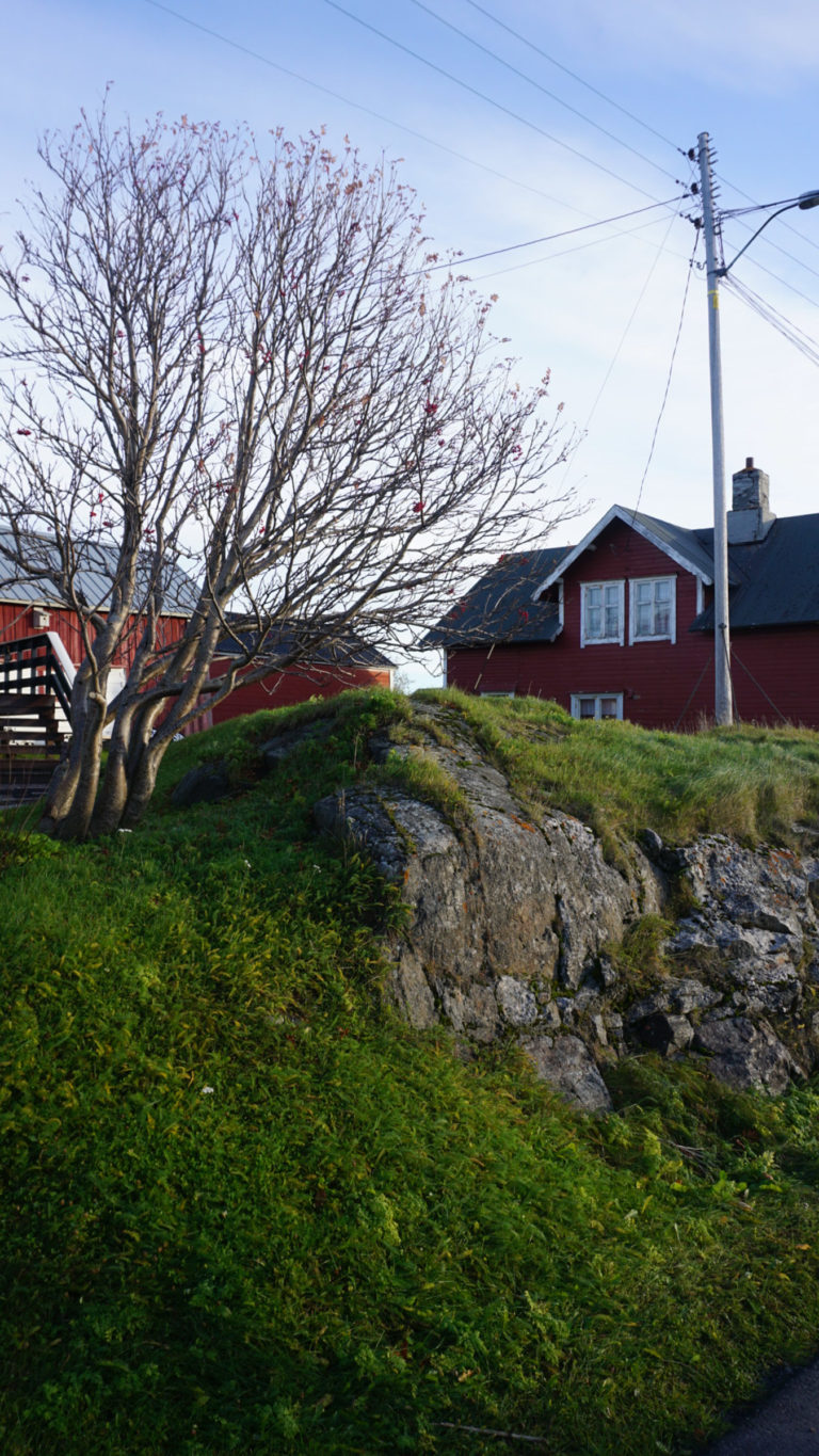 October vibes in Bugøynes © Knut Hansvold