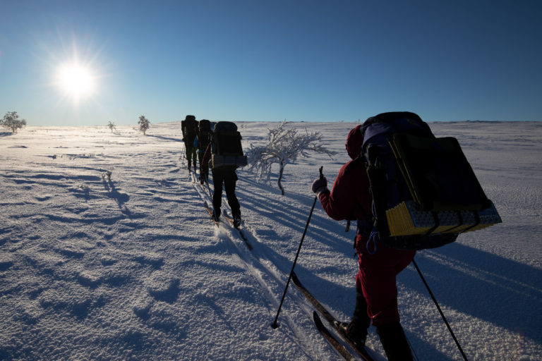 Cold and crisp near Alta Canyon © Magnus Askeland