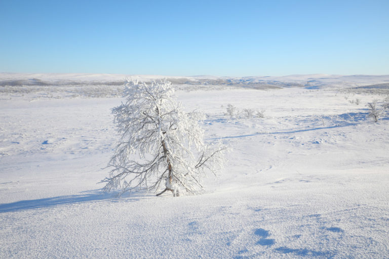 Winter has Alta Canyon in a firm grip © Magnus Askeland
