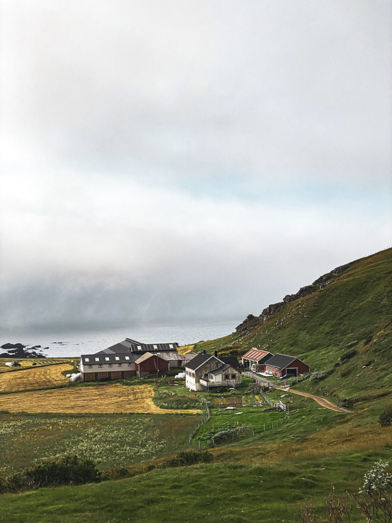 Farm of Gamvik on the ocean side of Sørøya Island © Katelin Pell