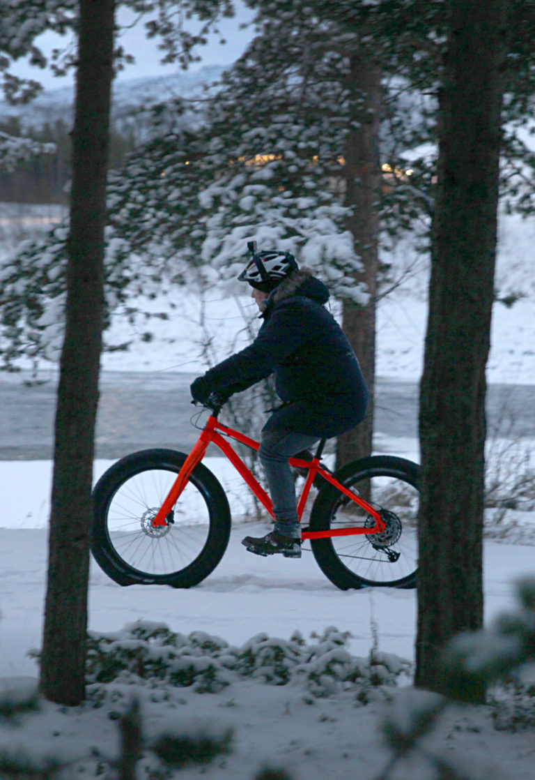 Fatbike mellom furuene i Alta @ Bjørn-Owe Holmberg