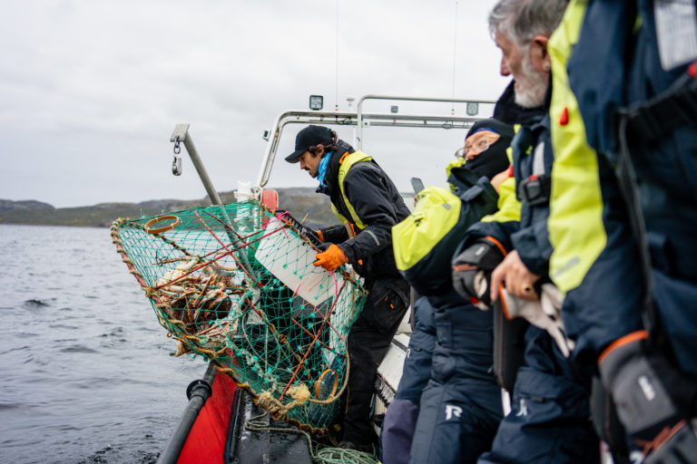 In Kirkenes you can join the boat and catch your own King Crabs. © Sigurd Salberg Pedersen